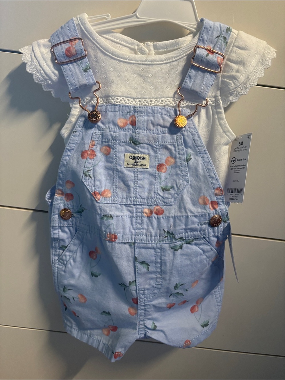 OshKosh B'gosh Light Blue Shortalls with Peach Cherry Print
